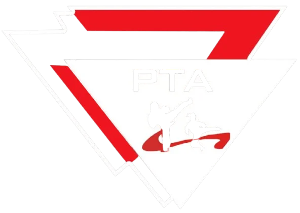 Perfect Taekwondo